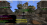 Screenshot_291212211212.png
